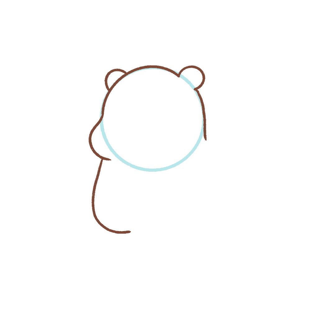 Draw the tummy of the hamster