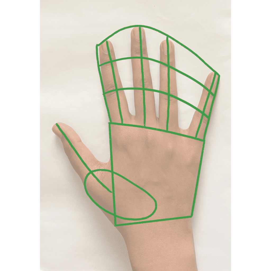 Draw lines to indicate the fingers