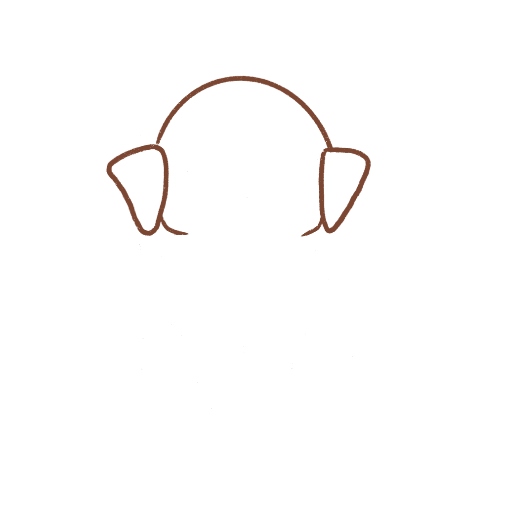 Draw the rest of the face of the labrador dog. 