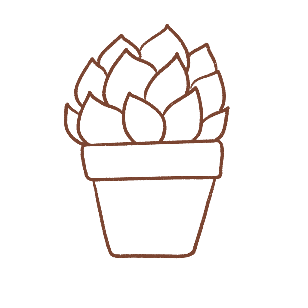Draw the remaining leaves of the succulent