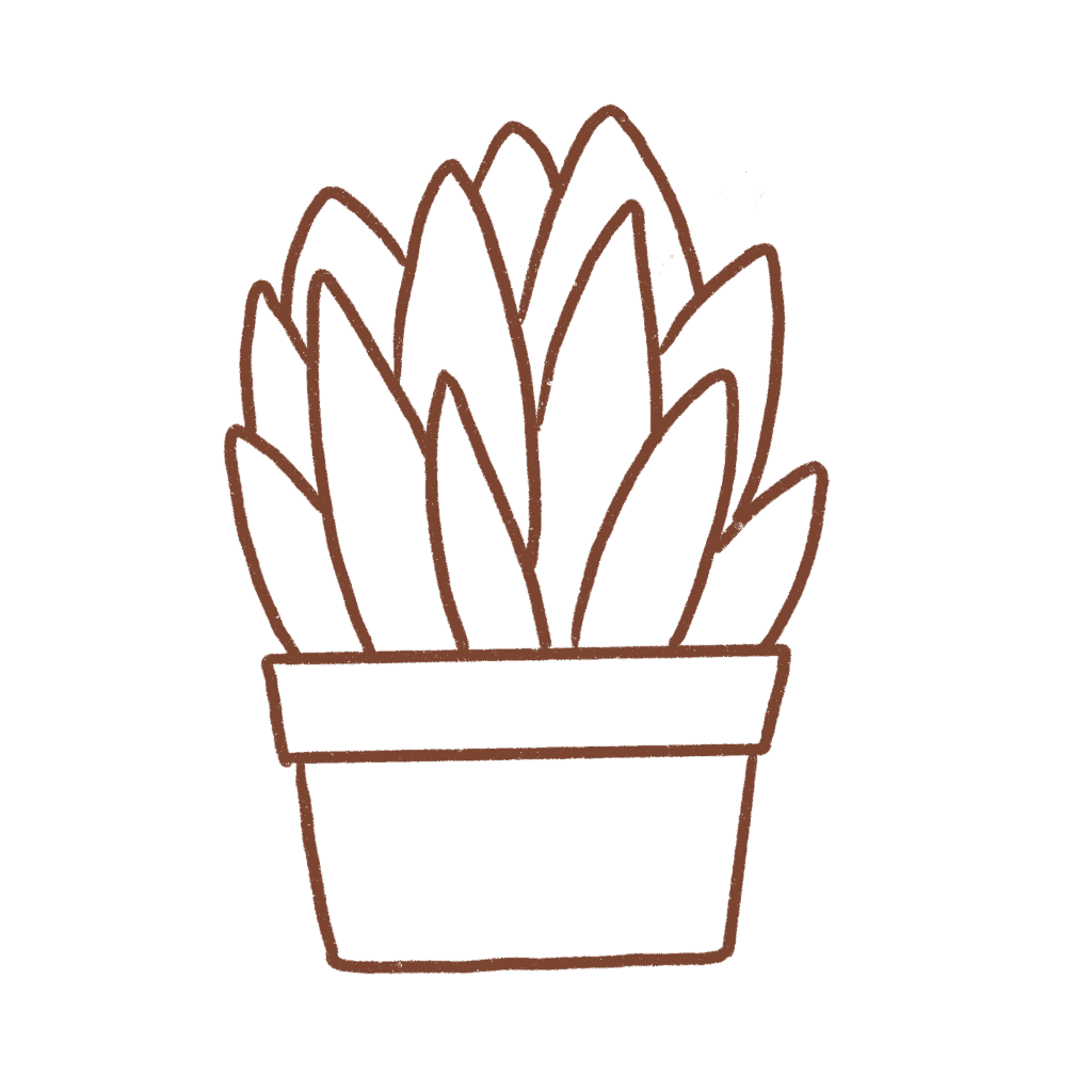 Keep drawing till you finish the leaves of the aloe vera plant