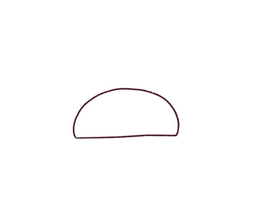 Draw the hamburger bun first