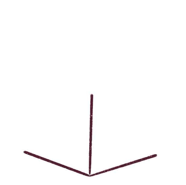 Draw a vertical line from the center