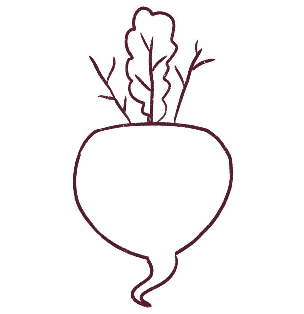 Draw the leaves of the beetroot