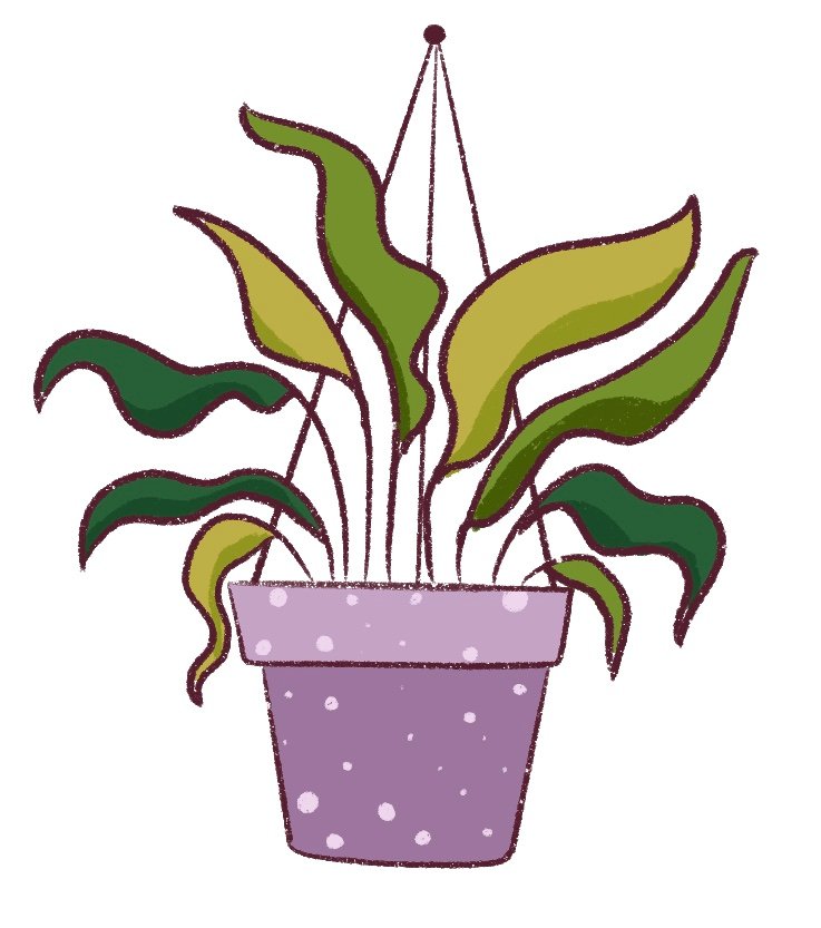 Here is another variety of hanging plants you can draw