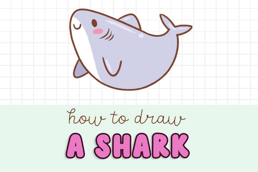 How to draw a cute shark step by step for beginners cute shark drawing