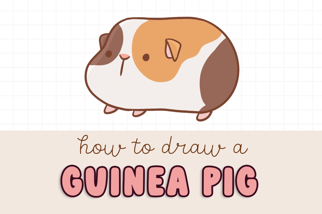 How to Draw a Cute Guinea Pig (Easy StepbyStep for Kids)