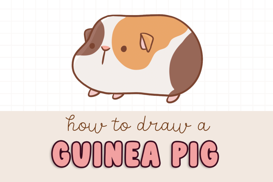 How to draw a guinea pig step by step easy guinea pig kawaii cute drawing