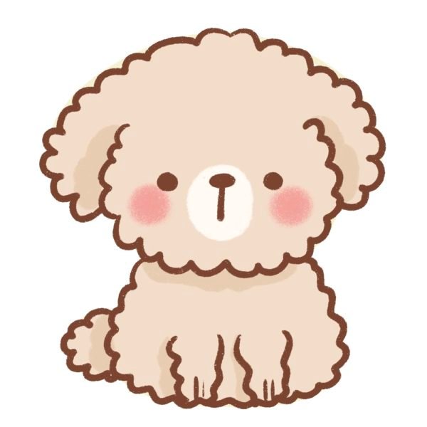 How to Draw a Dog with Curly Hair Draw Cartoon Style!
