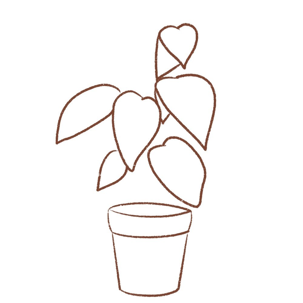 Draw a leaf
