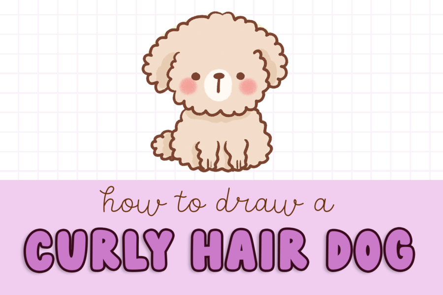 How to draw a dog with curly hair. step by step easy tutorial for kids