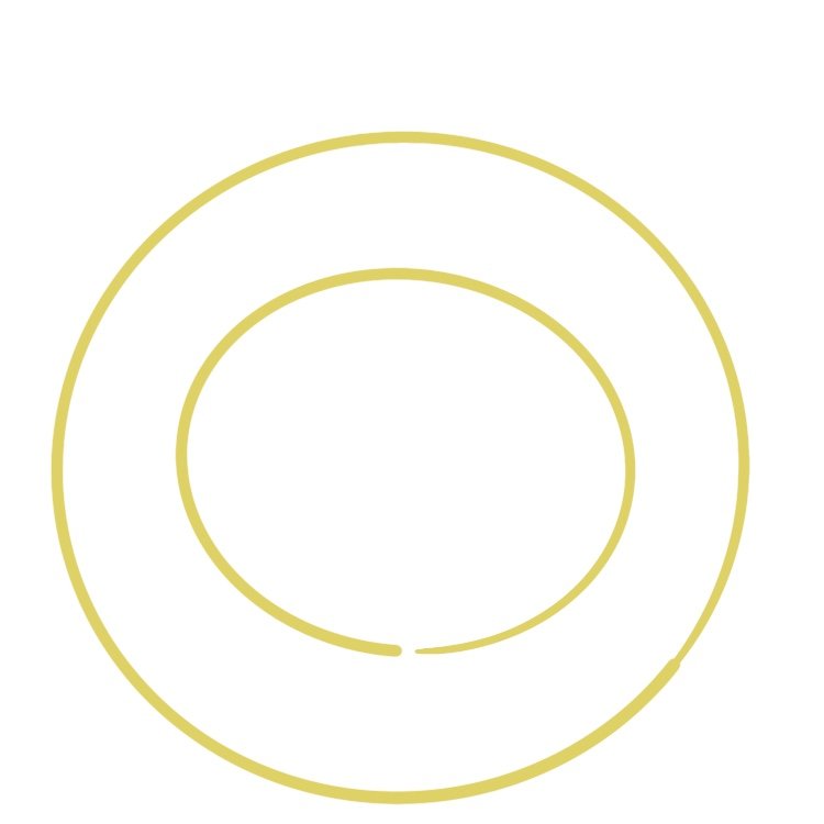 draw 2 concentric circles