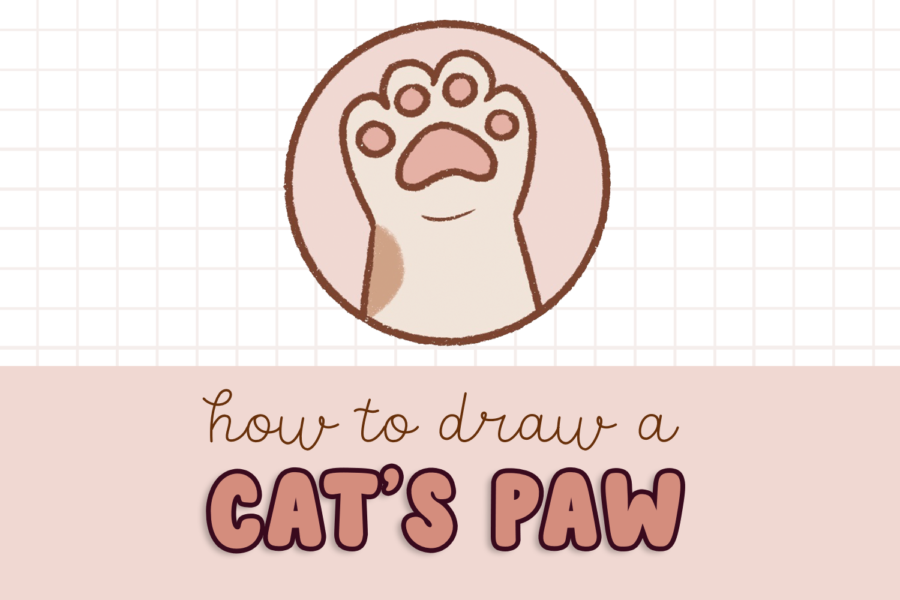 how to draw a cat's paw, cute cat paw drawing