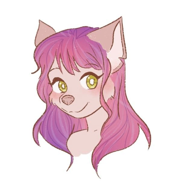 How to Draw a Furry – Easy Step by Step