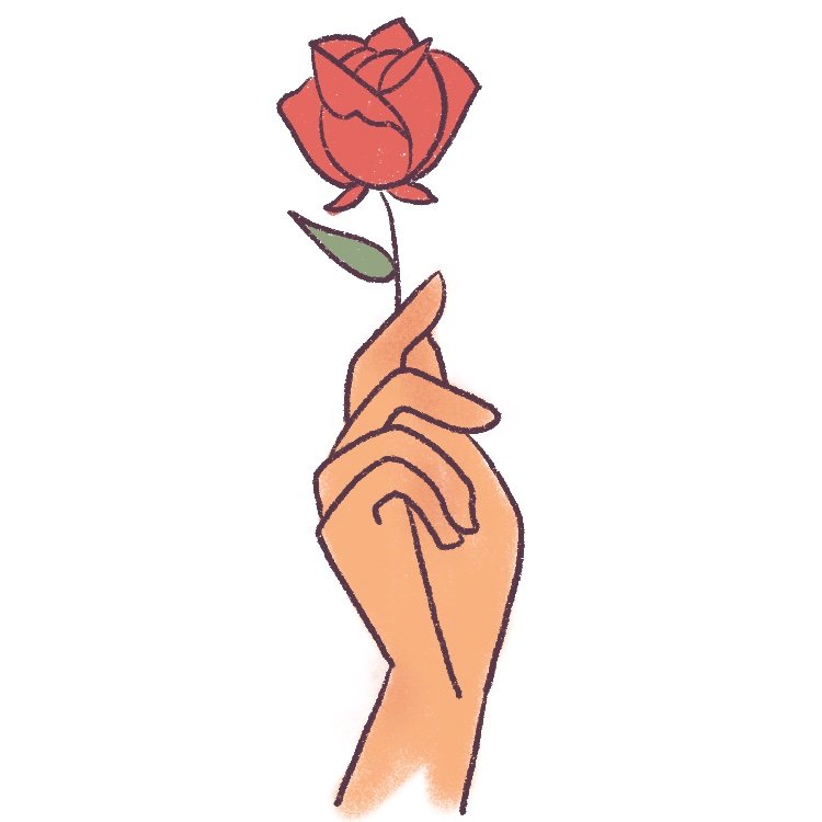 19 - color the rose