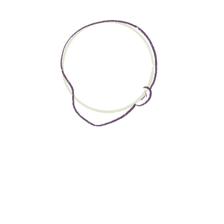 2 - draw the outline of the anime face