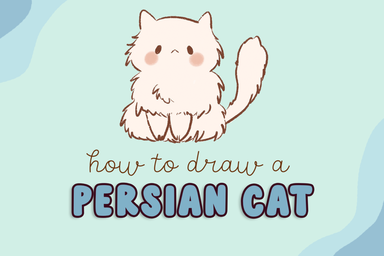 how to draw a persian cat
