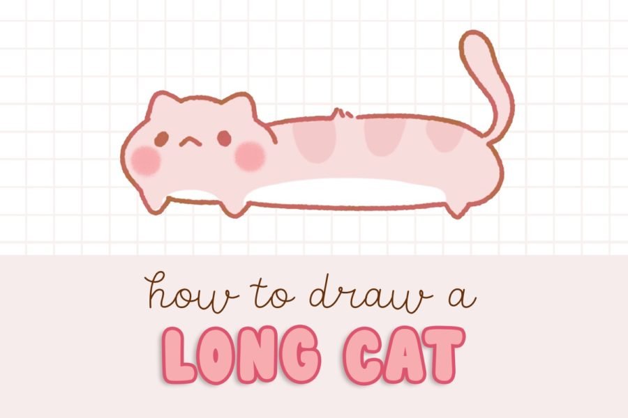 how to draw a long cat easy